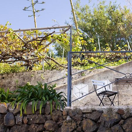 Ek Las Vistas Finca El Milagro ลาโอโรตาวา ภายนอก รูปภาพ
