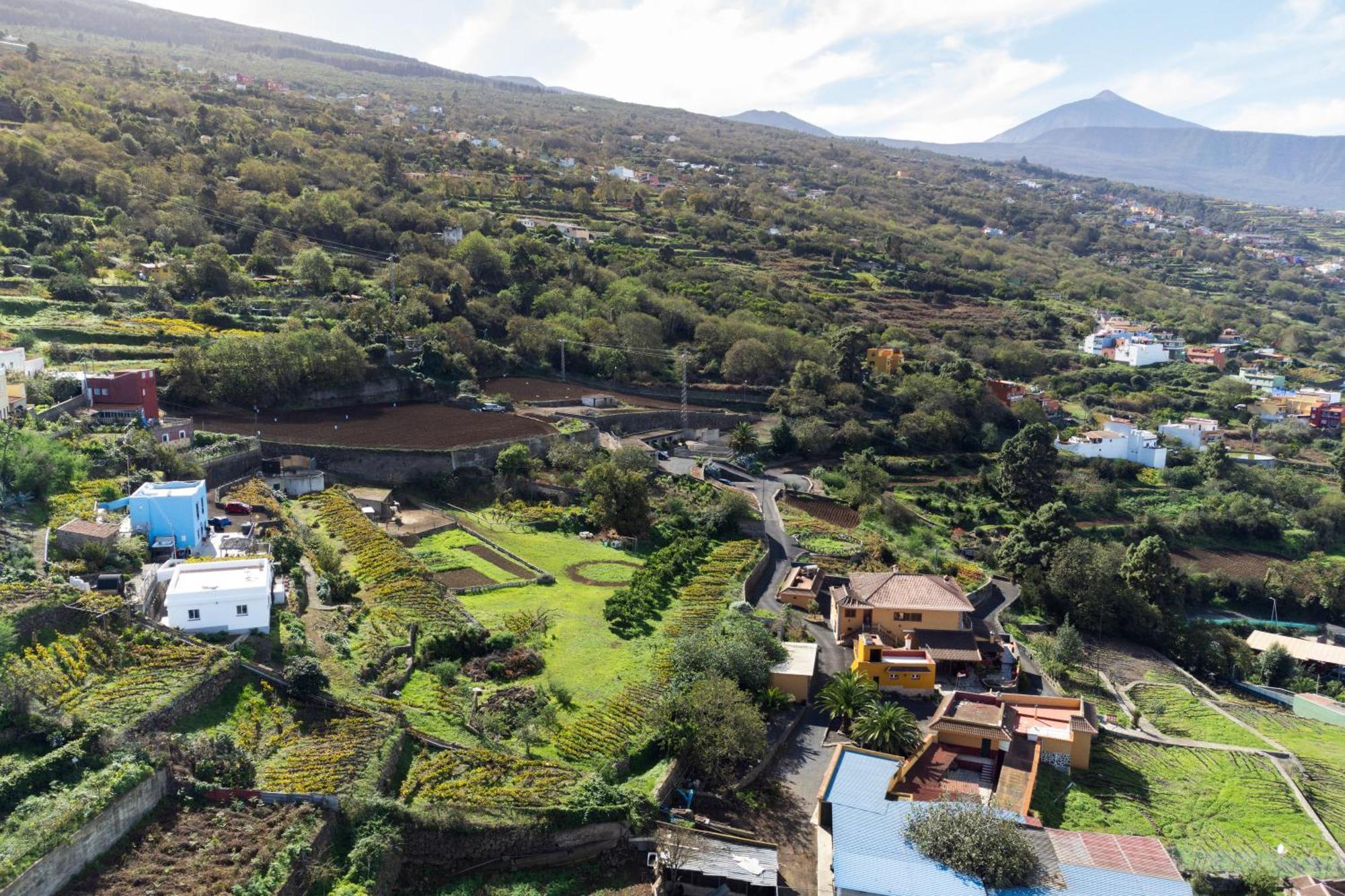 Ek Las Vistas Finca El Milagro ลาโอโรตาวา ภายนอก รูปภาพ