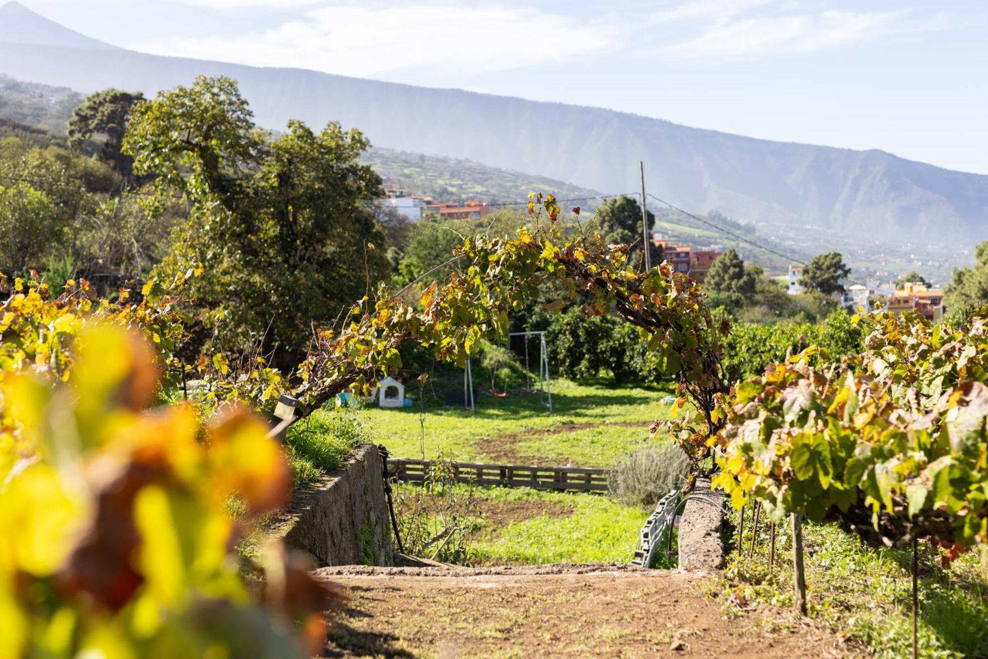 Ek Las Vistas Finca El Milagro ลาโอโรตาวา ภายนอก รูปภาพ