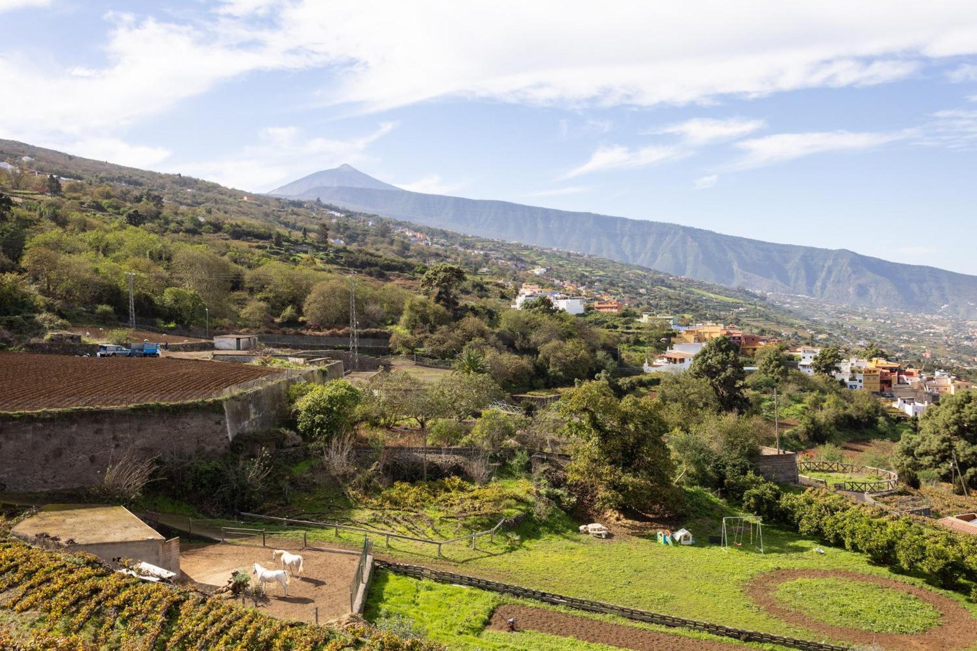 Ek Las Vistas Finca El Milagro ลาโอโรตาวา ภายนอก รูปภาพ