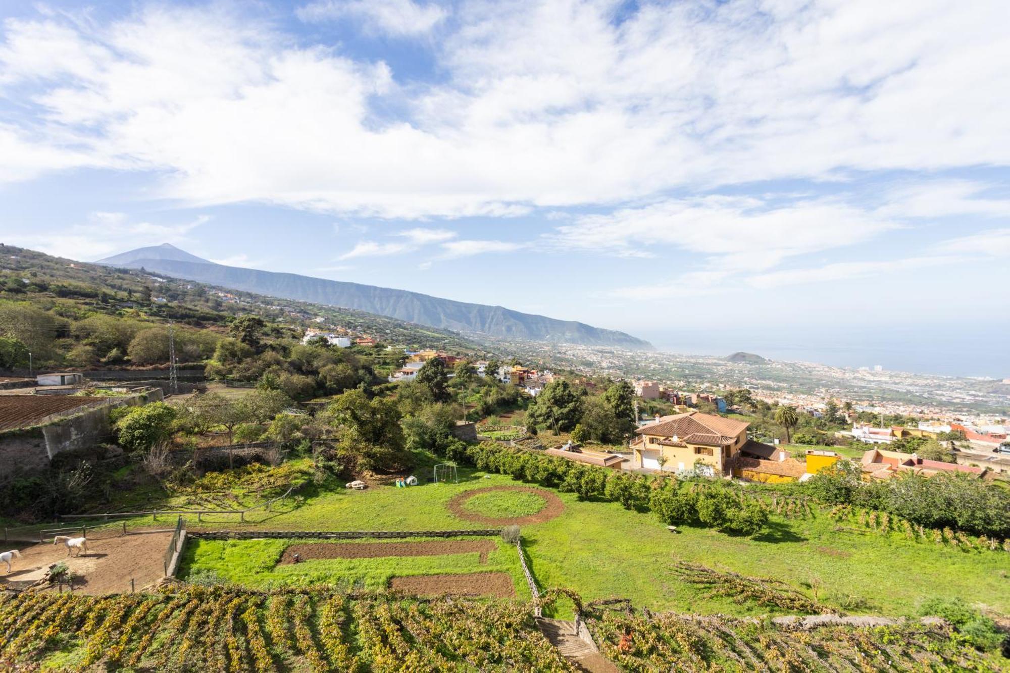 Ek Las Vistas Finca El Milagro ลาโอโรตาวา ภายนอก รูปภาพ